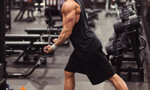 Moda Trends Magazine